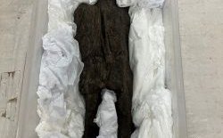 5 Carved figure BC c small