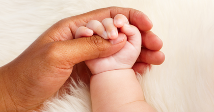 Early permanence and the adoption process