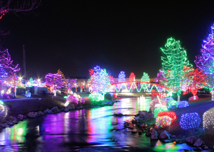 Christmas lights