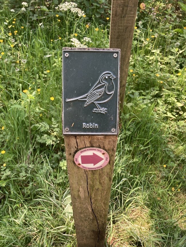 Brass rubbing trail image showing a robin