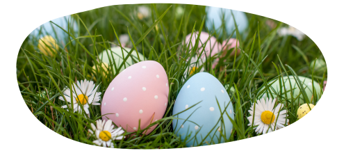 Colourful Easter eggs sat on the grass