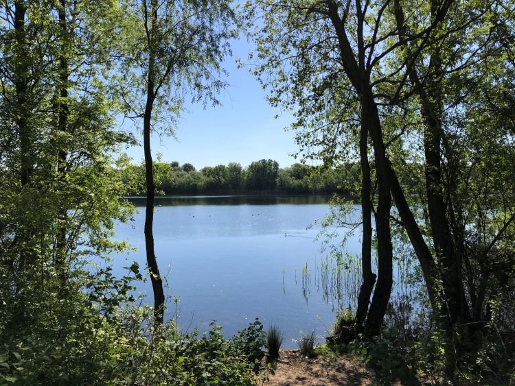 Image of the lake view at Thorney Park
