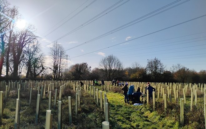 Volunteers at Huntsmoor Park Wood1