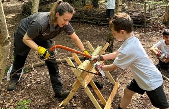 Woodland Workshop 750p wide