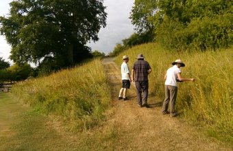 Recorders looking to identify wildlife in a field
