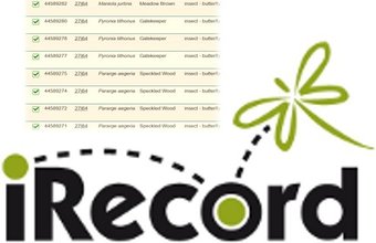 irecord