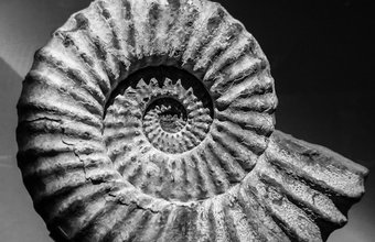 jossuha-theophile-ZhVKeFCb6NE-unsplash (1)