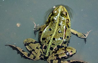 julien-mussard-3I0v0Jcz058-unsplash (1)