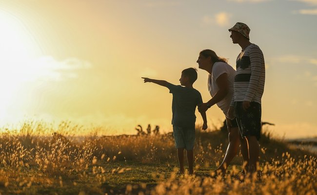 Transitions adoption blog