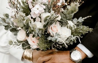 pexels-trungnguyenphotog-2959192