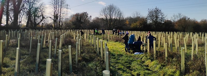 tree-mission-campaign-header